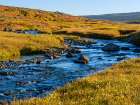 Iceland, colors of fall in Middalur at Steingrimsfjardarheidi during autumn. Art Print